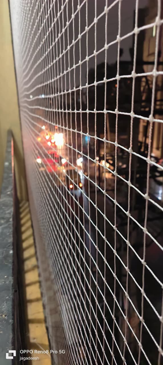 Pigeon Safety Nets Mobile